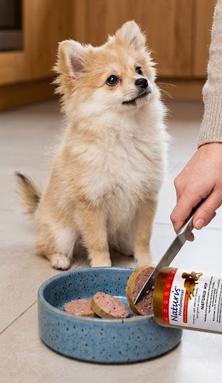 Naturis : Alimentation pour chien
