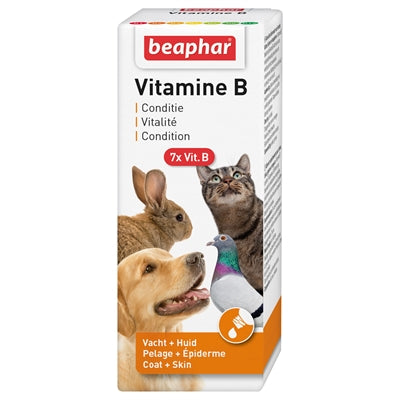 Beaphar – Complément alimentaire Chien, chat, rongeur et oiseau – Complexe Vitamine B – 50 ml - Caractéristiques
