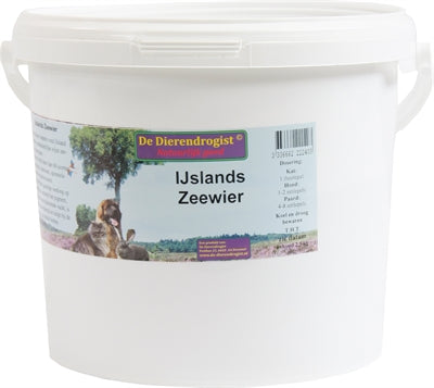 Current Product