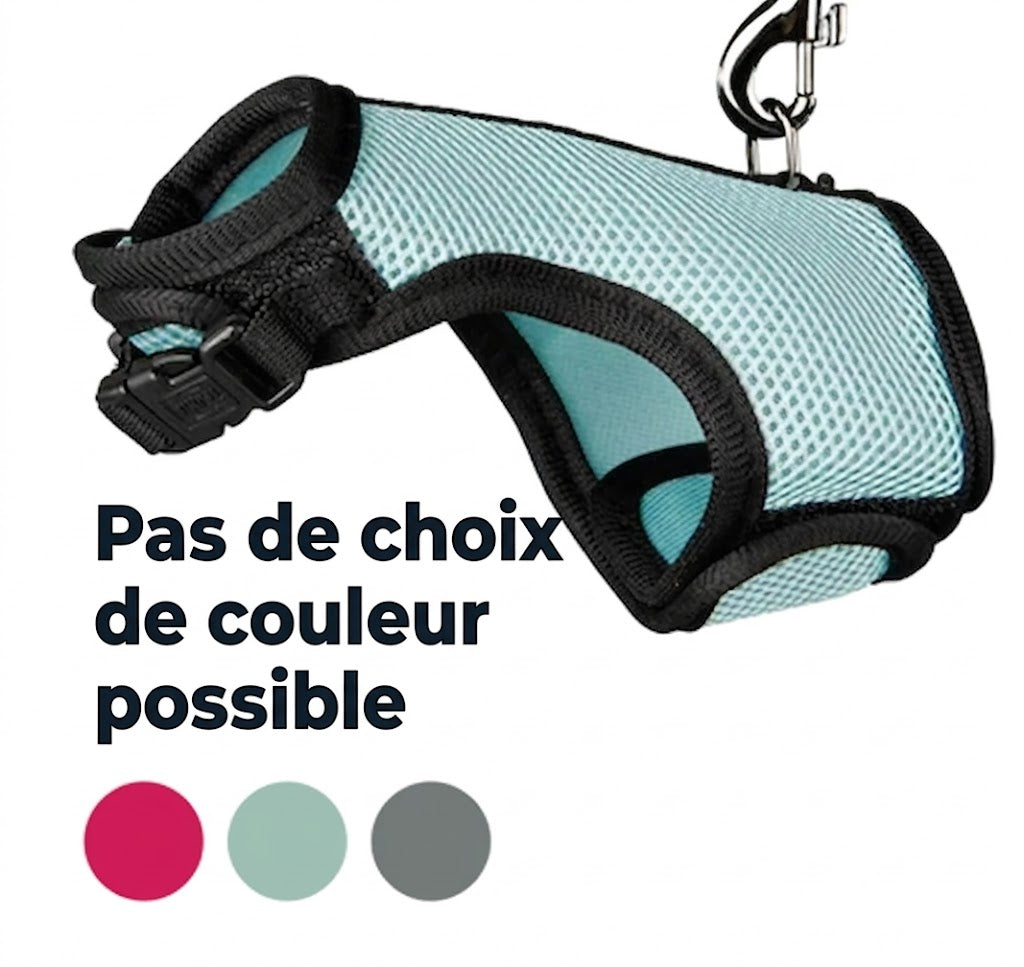 Trixie – Harnais pour rongeur – Modèle souple avec laisse pour rat – 12-18 x 120 cm - l'unité