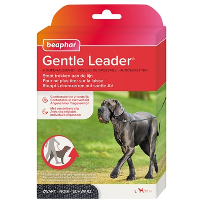 Current Product