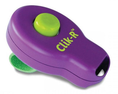 Clik-R – Accessoire d'éducation – Clicker d'entraînement – Violet / Vert - Caractéristiques