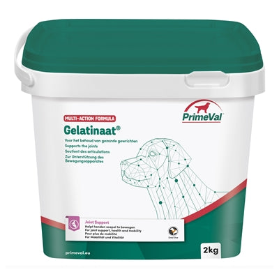 Current Product