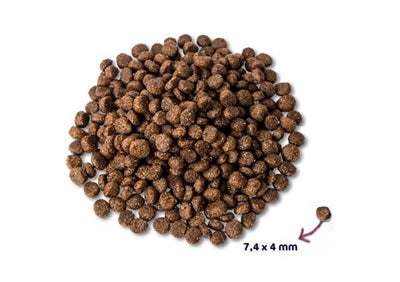 Renske Super Premium Puppy Kip / Lam 2 Kg