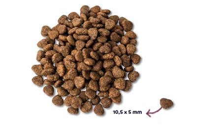 Renske – Croquettes pour chien – Super Premium Sans Céréales Poulet Frais – 2 kg - Caractéristiques