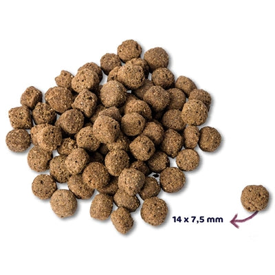 Renske – Croquettes pour chien – Super Premium Adulte - Poissons d'océan – 12 kg - Caractéristiques
