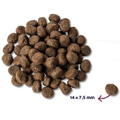 Renske – Croquettes pour chien – Super Premium Senior Sans Céréales Dinde – 2 kg - Caractéristiques