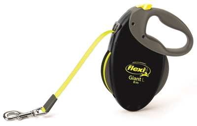 Current Product