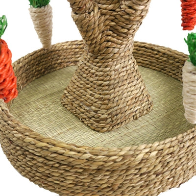 Rosewood – Jouet pour rongeur – Arbre à Jouer – 40 cm - Caractéristiques