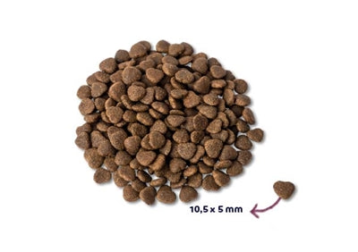 Renske – Croquettes pour chat – Super Premium Adulte Saumon Frais – 6 kg - Caractéristiques