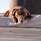 Bia Bed Hondenmand Outdoor Taupe