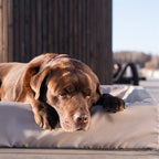 Bia Bed Hondenmand Outdoor Taupe