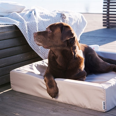 Bia Bed Outdoor Hoes Hondenmand Taupe Bia-7 120X100X15 Cm