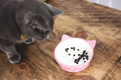 Happy Pet – Gamelle pour chat – Écuelle céramique Polka - Caractéristiques
