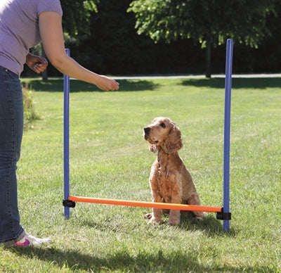 Trixie – Haie d'agility Dog Activity – Bleu / Orange – 123x115x3 cm - Caractéristiques