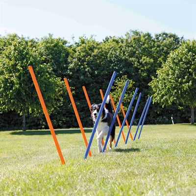 Trixie Dog Activity Agility Slalom Stokken Blauw / Oranje 115X3 Cm 12 St