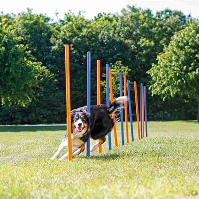 Trixie Dog Activity Agility Slalom Stokken Blauw / Oranje 115X3 Cm 12 St