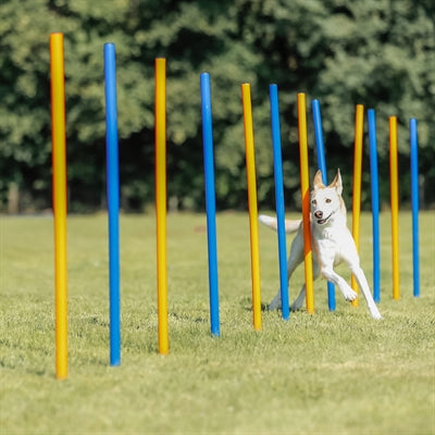 Trixie Dog Activity Agility Slalom Stokken Blauw / Oranje 115X3 Cm 12 St