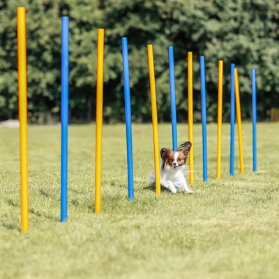 Trixie Dog Activity Agility Slalom Stokken Blauw / Oranje 115X3 Cm 12 St