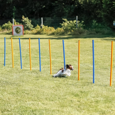 Trixie Dog Activity Agility Slalom Stokken Blauw / Oranje 115X3 Cm 12 St