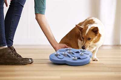 Nina Ottosson – Jeu d'intelligence pour chien – Cache-cache Coulissant – 33 x 33 x 5 cm - Caractéristiques