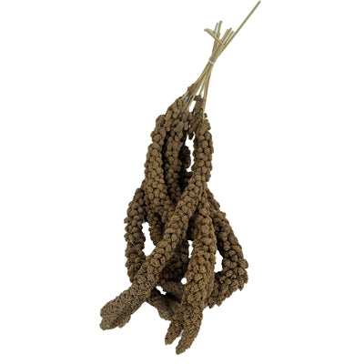 Merkloos – Friandises pour oiseau – Millet en grappes de Chine – 15 kg - Caractéristiques
