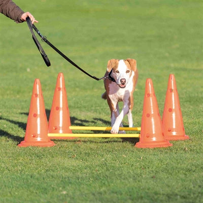 Trixie – Set de 3 haies d'entraînement Dog Activity - Caractéristiques