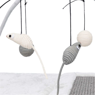 Trixie – Accessoire pour chat – Tapis à griffer avec jouets suspendus – 60x33x42 cm - Caractéristiques