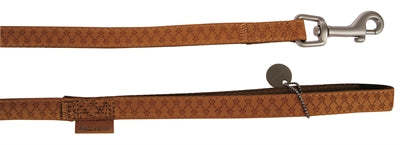 Current Product