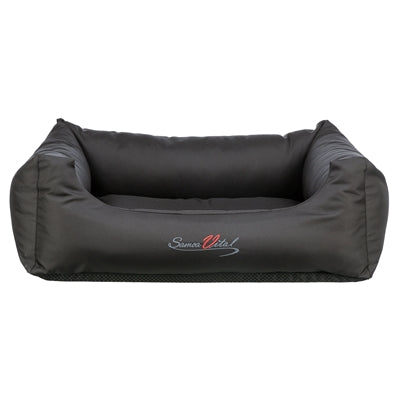 Current Product