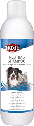 Current Product