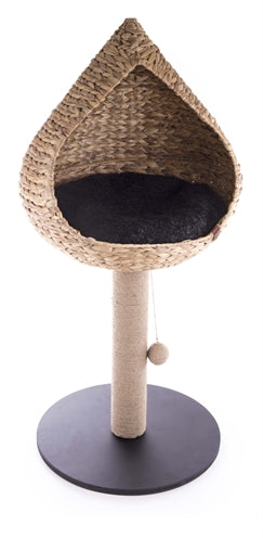 Martin Sellier – Arbre à chat pour chat – Vietnam avec panier goutte jacinthe d'eau – 50 cm - Caractéristiques