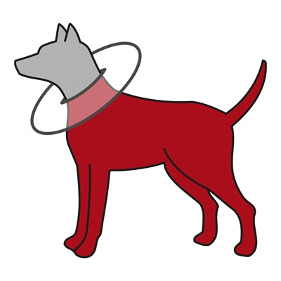 Trixie – Collerette de protection en polyester et mousse Gris pour chien et chat - Caractéristiques