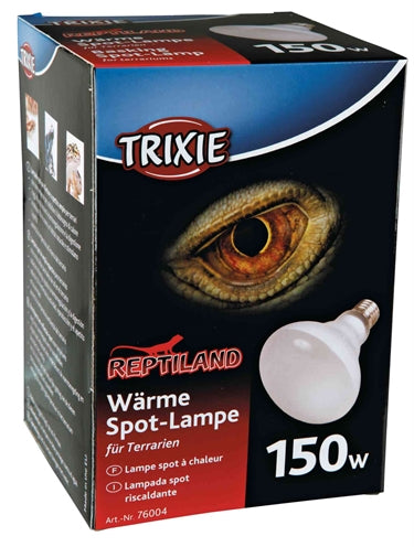 Current Product