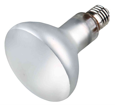 Trixie – Lampe pour reptile – ProSun Mixed D3 UV-B Auto-amorçante - Caractéristiques