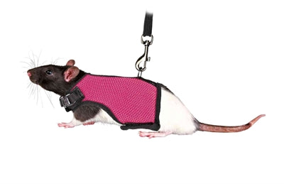 Trixie Softtuig Met Riem Voor Ratten Assorti 12-18X120 Cm