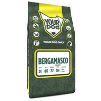 3 KG