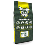Yourdog Poitevin Volwassen