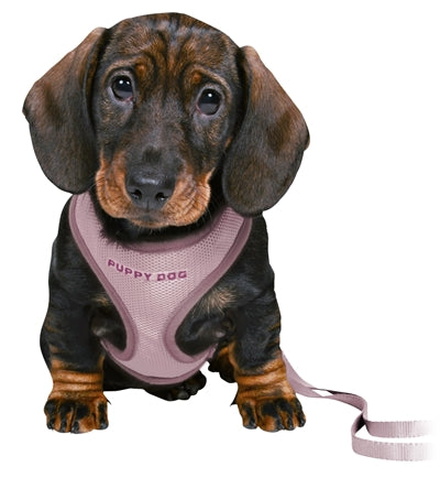Trixie Junior Puppytuig Soft Met Riem Lila 26-34X1 Cm  / 2 Mtr