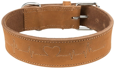 Current Product