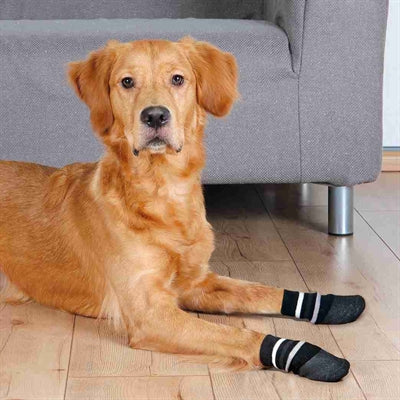 Trixie – Chaussette pour chien – Chaussettes antidérapantes avec revêtement caoutchouc intégral noir - Caractéristiques