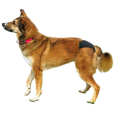 Trixie – Culotte de protection pour chien – Culotte hygiénique - Caractéristiques