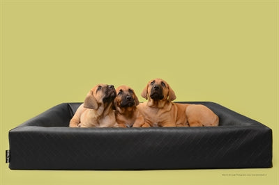 Bia Bed – Panier pour chien – Square - Noir - Bia-3 - Caractéristiques