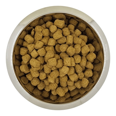 Yourdog Chien Français Blanc Et Orange Volwassen 12 Kg
