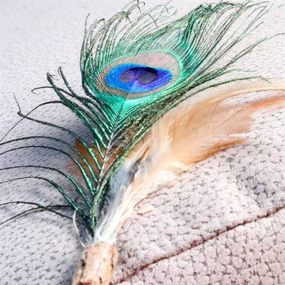Croci – Jouet pour chat – Canne à pêche matatabi et plume de paon – 12 cm - Caractéristiques