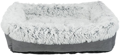 Current Product