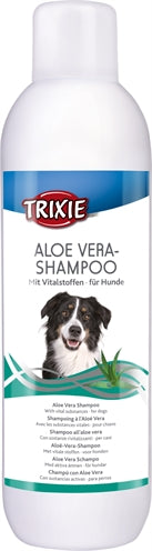 Current Product