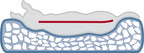 Trixie Vital Hondenkussen Bendson Orthopedisch Grijs