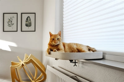 Ebi – Panier pour rebord de fenêtre Kyo – Pour chat – Blanc – 50 x 40 x 6 cm - Caractéristiques