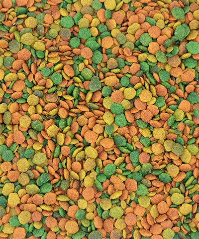 Versele-Laga – Aliment complet Oiseau – Nutribird G14 Tropical – Grande Perruche – 1 kg - Caractéristiques